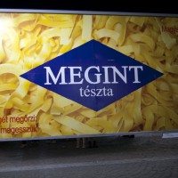 Megint tészta